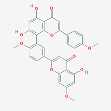 Picture of Sciadopitysin(Standard Reference Material)