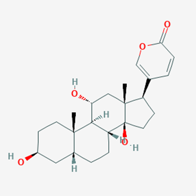 Picture of Gamabufotalin(Standard Reference Material)