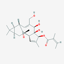 Picture of Ingenol-3-angelate (Standard Reference Material)