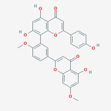 Picture of Ginkgetin(Standard Reference Material)