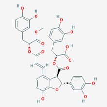 Picture of 9-Methyl salvianolate B(Standard Reference Material)