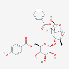 Picture of Mudanpioside C (Standard Reference Material)