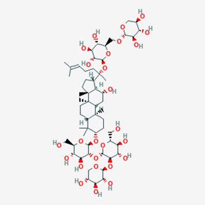 Picture of Notoginsenoside Fc(Standard Reference Material)