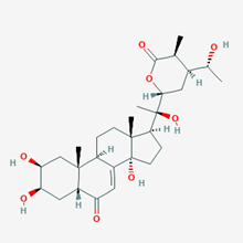 Picture of Precyasterone(Standard Reference Material)