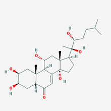 Picture of Ajugasterone C(Standard Reference Material)