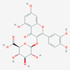 Picture of Quercetin 3-O-β-D-glucuronide(Standard Reference Material)