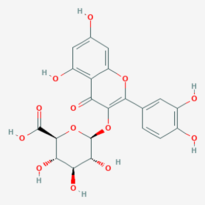 Picture of Quercetin 3-O-β-D-glucuronide(Standard Reference Material)