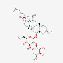 Picture of 20(R)-Notoginsenoside R2(Standard Reference Material)