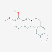 Picture of Berberine(Standard Reference Material)