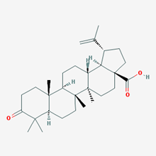 Picture of Betulonic acid(Standard Reference Material)