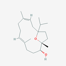 Picture of Incensole(Standard Reference Material)