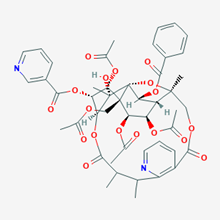 Picture of Hyponine D(Standard Reference Material)