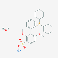 Picture of 2-Dicyclohexylphosphino-2,6-dimethoxy-3-sulfonato-1,1–biphenyl hydrate sodium salt(water soluble SPhos),