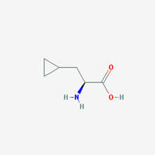 Picture of (S)-2-Amino-3-cyclopropylpropanoic acid