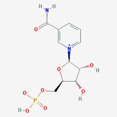 Picture of β-Nicotinamide mononucleotide