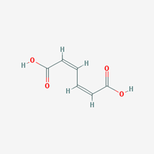 Picture of (2Z,4Z)-Hexa-2,4-dienedioic acid