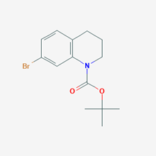 Picture of tert-Butyl 7-bromo-3,4-dihydroquinoline-1(2H)-carboxylate