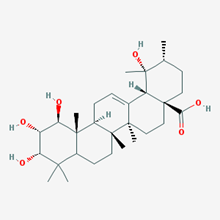 Picture of 1β-Hydroxyeuscaphic acid(Standard Reference Material)