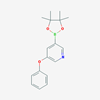 Picture of 3-Phenoxy-5-(4,4,5,5-tetramethyl-1,3,2-dioxaborolan-2-yl)pyridine