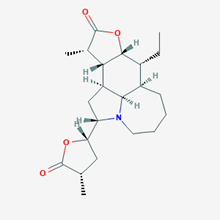 Picture of Neotuberostemonine

(Standard Reference Material)