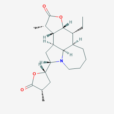 Picture of Neotuberostemonine

(Standard Reference Material)