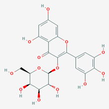 Picture of Myricetin 3-O-galactoside(Standard Reference Material)