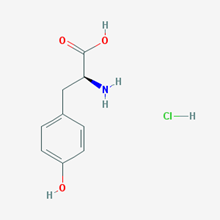 Picture of (S)-2-Amino-3-(4-hydroxyphenyl)propanoic acid hydrochloride