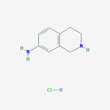 Picture of 1,2,3,4-Tetrahydroisoquinolin-7-amine hydrochloride