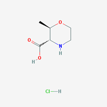 Picture of trans-2-Methylmorpholine-3-carboxylic acid hydrochloride