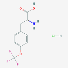 Picture of (R)-2-Amino-3-(4-(trifluoromethoxy)phenyl)propanoic acid hydrochloride