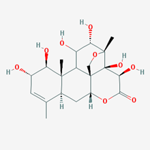 Picture of Bruceine E(Standard Reference Material)