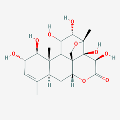 Picture of Bruceine E(Standard Reference Material)