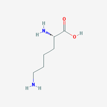 Picture of Poly-L-lysine