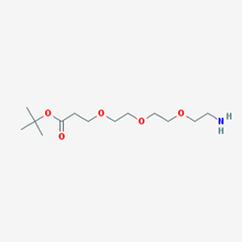 Picture of tert-Butyl 3-(2-(2-(2-aminoethoxy)ethoxy)ethoxy)propanoate