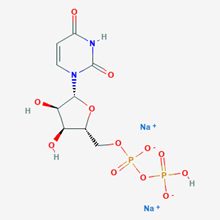 Picture of Sodium((2R,3R,4R,5R)-5-(2,4-dioxo-3,4-dihydropyrimidin-1(2H)-yl)-3,4-dihydroxytetrahydrofuran-2-yl)methylhydrogendiphosphate