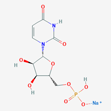 Picture of Sodium ((2R,3S,4R,5R)-5-(2,4-dioxo-3,4-dihydropyrimidin-1(2H)-yl)-3,4-dihydroxytetrahydrofuran-2-yl)methyl hydrogenphosphate