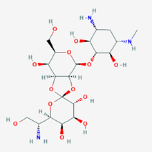 Picture of Hygromycin B(Standard Reference Material)