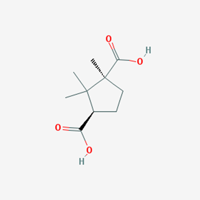 Picture of (1S,3R)-1,2,2-Trimethylcyclopentane-1,3-dicarboxylic acid