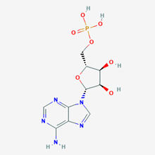 Picture of 5-Adenylic acid(Standard Reference Material)