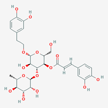 Picture of Verbascoside(Standard Reference Material)