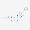 Picture of Neratinib