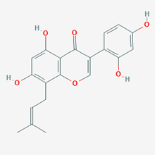 Picture of 2,3-Dehydrokievitone(Standard Reference Material)