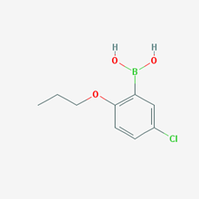 Picture of (5-Chloro-2-propoxyphenyl)boronic acid