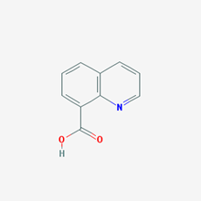 Picture of Quinoline-8-carboxylic acid