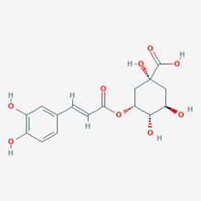 Picture of Neochlorogenic acid(Standard Reference Material)