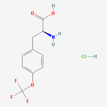 Picture of (S)-2-Amino-3-(4-(trifluoromethoxy)phenyl)propanoic acid hydrochloride