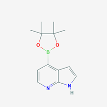 Picture of 4-(4,4,5,5-Tetramethyl-1,3,2-dioxaborolan-2-yl)-1H-pyrrolo[2,3-b]pyridine