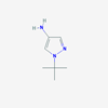 Picture of 1-(tert-Butyl)-1H-pyrazol-4-amine