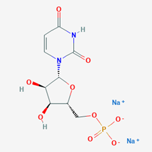 Picture of 5-UMP disodium salt(Standard Reference Material)