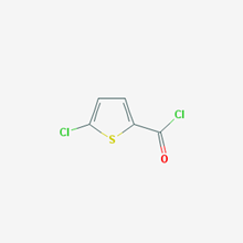 Picture of 5-Chlorothiophene-2-carbonyl chloride